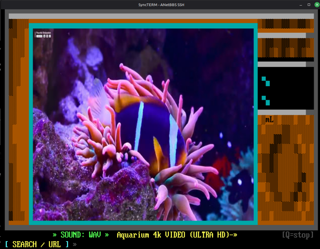 SixelDoor rendering an aquarium video in full JPEG XL quality inside SyncTERM